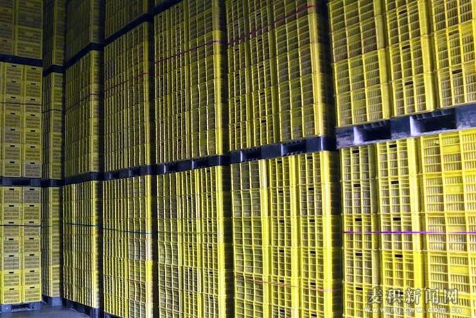 麦积区 大力发展仓储冷链设施 助力农产品提高附加值